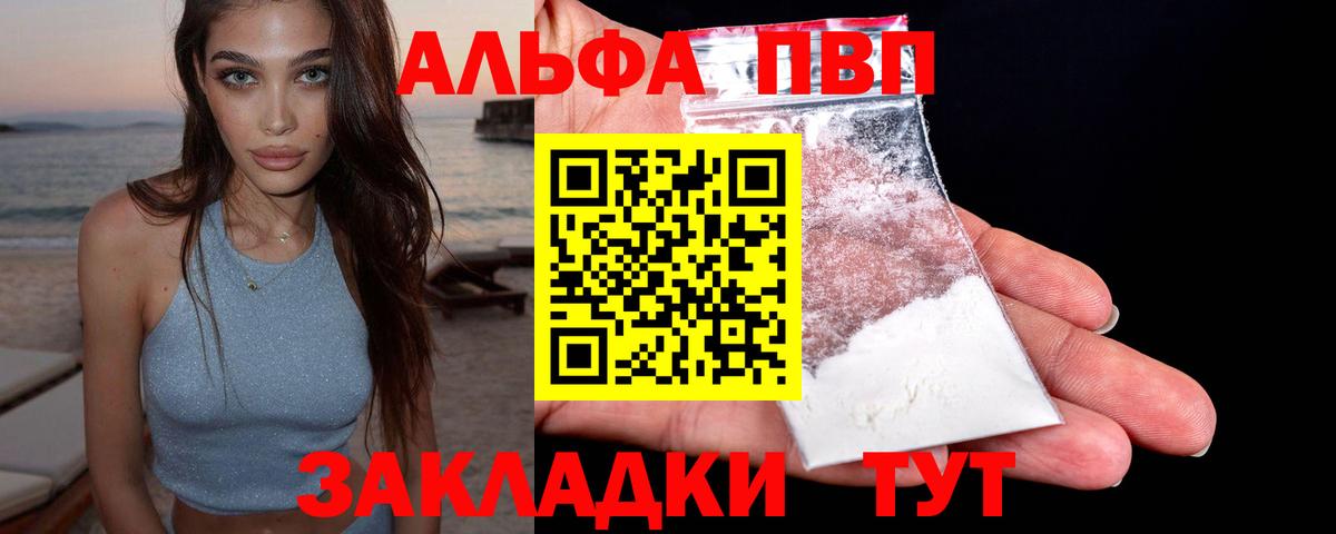 Alfa_PVP СК Орехово-Зуево